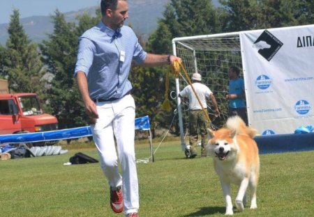 1st Akita Club Winner Show 